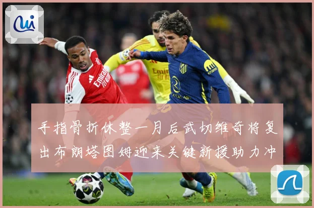 手指骨折休整一月后武切维奇将复出布朗塔图姆迎来关键新援助力冲成长观察-深度解析