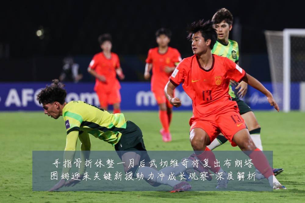 手指骨折休整一月后武切维奇将复出布朗塔图姆迎来关键新援助力冲成长观察-深度解析
